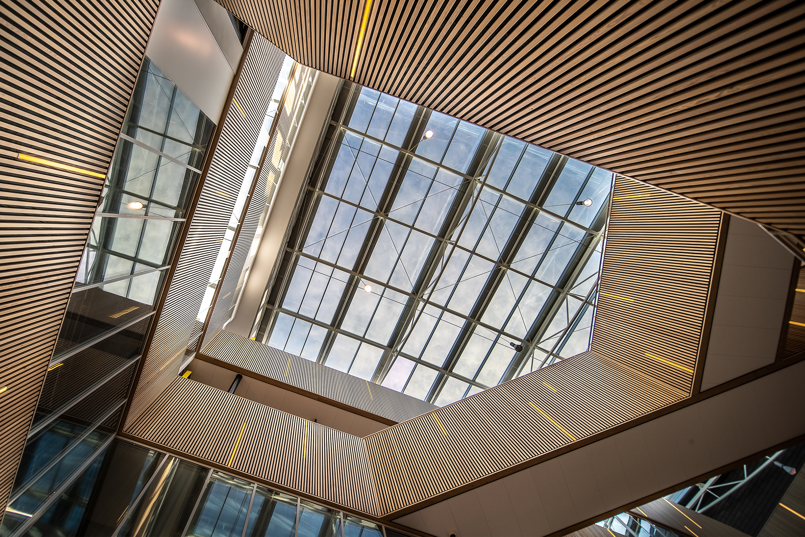 Thiết kế & Thi công